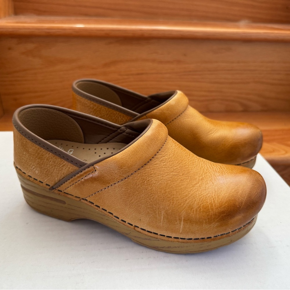 Dansko Women's Professional Clogs